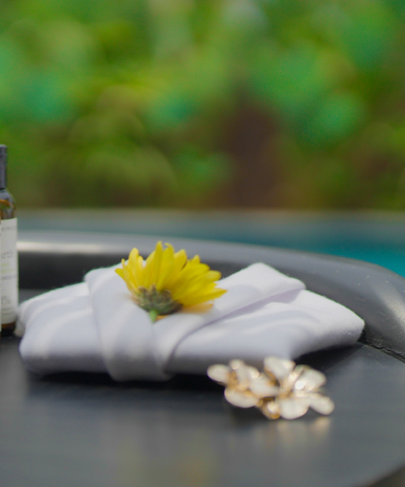 Hospitality for Arma Therapy